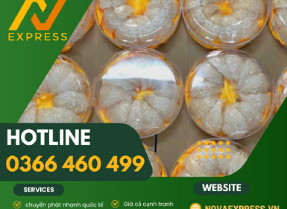GỬI HÀNG THỰC PHẨM YẾN XÀO ĐI NHẬT